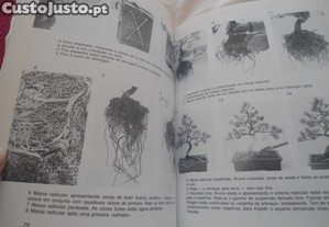 imagem_8