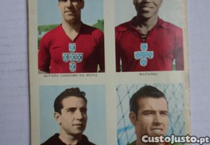 imagem_2