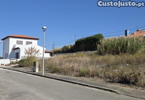 imagem_15