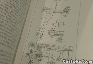 imagem_10