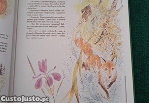 imagem_7