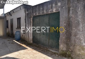 imagem_12