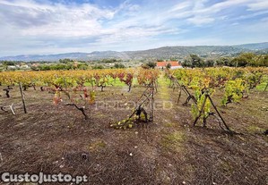 Quinta rural t4