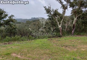 imagem_29