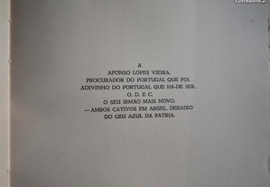 imagem_8