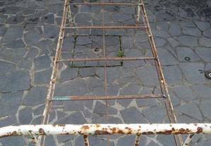 imagem_6