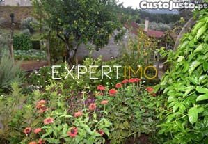 imagem_24