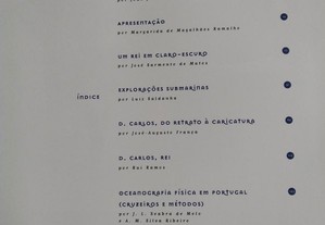 imagem_3