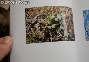 imagem_8
