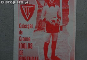 imagem_1