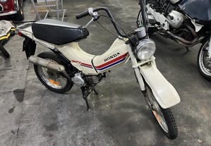 1981 Honda PX50