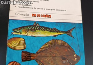 imagem_8
