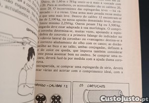 imagem_7