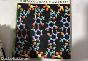 imagem_7