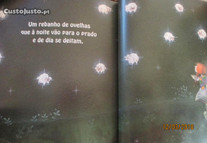 imagem_5