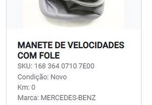 imagem_12