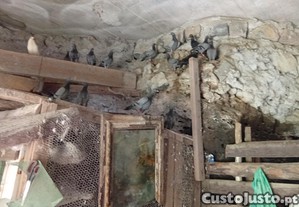 imagem_2