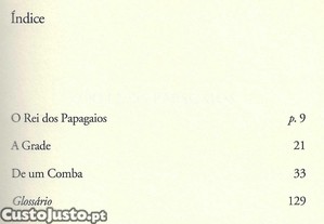 imagem_8