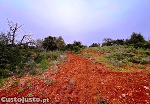 imagem_12