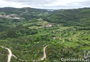 imagem_14