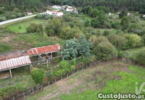 imagem_7