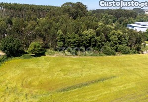 Terreno Rstico C/ 37.240M2 - Custi - Lea Do...