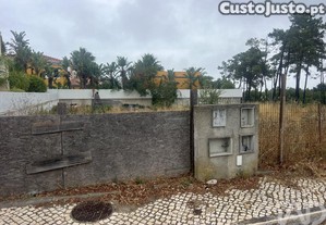 imagem_8