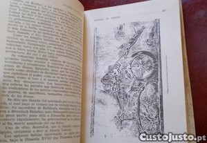 imagem_11
