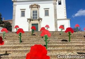imagem_26