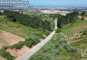 imagem_6