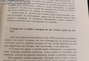 imagem_4