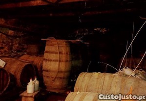 imagem_17