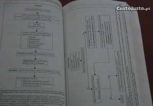 imagem_6