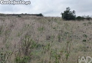 imagem_12