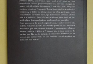 imagem_4