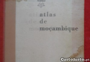 imagem_1