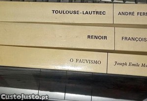imagem_8