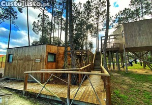imagem_10