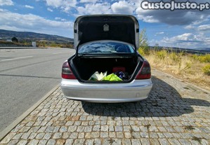 imagem_10