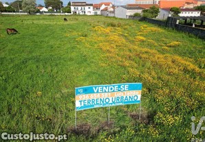 imagem_18