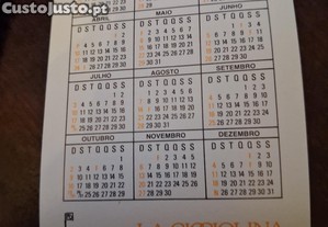 imagem_6