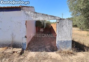 imagem_3