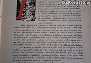 imagem_6