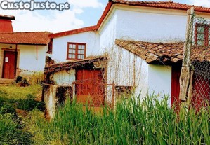 imagem_8