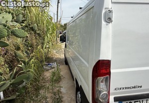 imagem_3