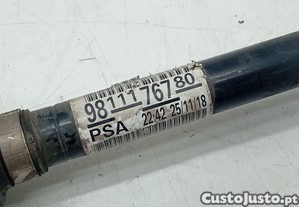 imagem_2