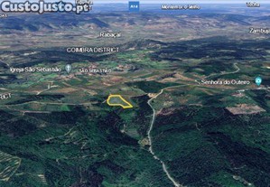 imagem_5