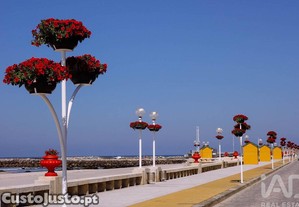 imagem_28