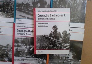imagem_6