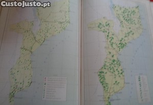 imagem_6